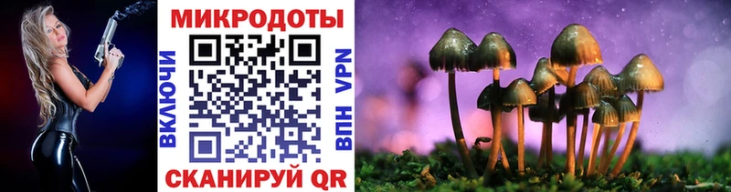 Галлюциногенные грибы Magic Shrooms  купить закладку  Углич 